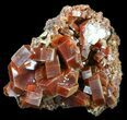 Large, Ruby Red Vanadinite Crystals - Morocco #51283-1